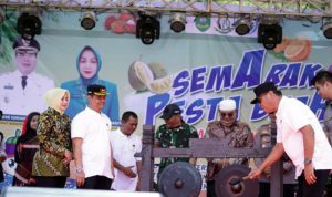 Pesta Buah Madina