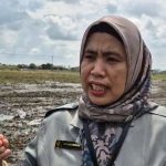 Nurliana