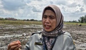 Nurliana