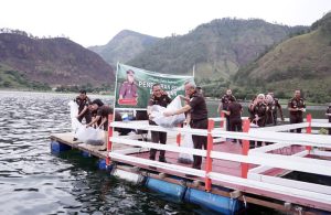 Tabur Benih Ikan