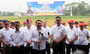 JA Mandiri Pangan1